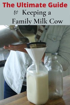 the ultimate guide to keeping a family milk cow