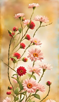 a bunch of pink and red flowers in a vase