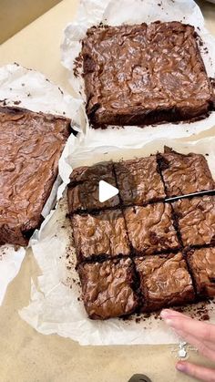 Fatima Chehab on Instagram: "My sister says that these are the best brownies she has ever tried.  I hate cakey brownies. One tray is never enough for these super-fudgy brownies. Those crinkly tops aren’t just for show-they taste as great as they look. If you’re a fan of rich chocolate flavor with a gooey, fudgy texture that melts in your mouth, this beginner-friendly recipe is for you.
This is part of my exclusive content, requires a subscription, Comment “brownies” and I’ll send over the link to your DMs! 
#trending #viral #brownies #chocolate #baking #reels #brownie #recipe #baker #bakery #foodporn #desserts #cake #trendingreels #asmr #chocolatelover #yummy #asmrfood #tasty #recipes #fudge #food #asmrsounds #viralvideos #explorepage" Cakey Brownies, Meals And Munchies, The Best Brownies, Desserts Cake, Recipe Baking, Brownies Recipe Easy, Best Brownies, Brownies Recipe, Brownie Recipe