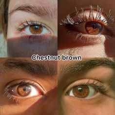 Chestnut Brown Eyes, Pretty Eyes Color, Cute Braces, Beautiful Eyes Color, Gender Fluid Fashion, Beauty Words, Eyes Color, Pretty Knives, Types Of Eyes