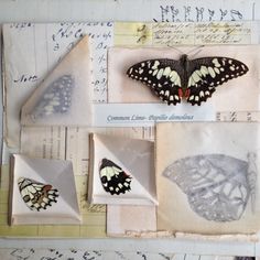 some butterflies are sitting on top of old papers