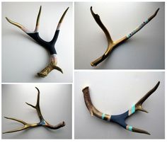 four pictures of antlers with different colors and designs on their sides, all showing the same size