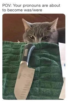 a cat is peeking out from behind a green towel with a large plastic spatula in it