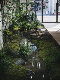 a small stream running through a building next to tall grass and plants on the ground