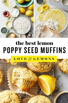 the best lemon poppy seed muffins with love & lemons on top and below