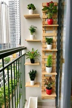 the balcony is decorated with wooden shelves and potted plants