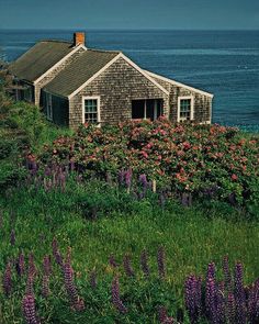 an old house sitting on top of a lush green hillside next to the ocean with purple flowers