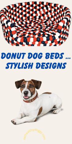 a dog laying on the ground next to a bowl that says don't dog beds stylish designs