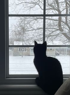 a black cat sitting on top of a window sill in front of a snow covered tree