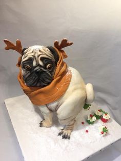 a pug dog with antlers on his head and scarf sitting on top of a table