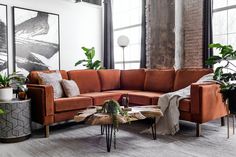 a living room filled with lots of furniture and plants on top of it's tables