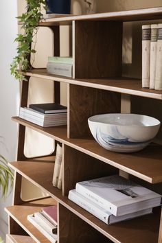 a bowl sitting on top of a wooden shelf filled with books and magazines next to a potted plant