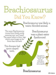 a poster with the words brachiosauruss did you know? and an image of a