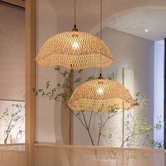 two lamps hanging from the ceiling in a room with plants and mirrors on the wall