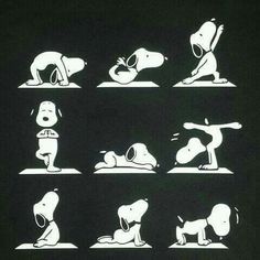 the silhouettes of people doing yoga poses