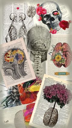 a collage of images with flowers and skulls on them, including an old book page