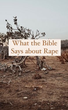 What the Bible says about rape | Land of Honey Journal Ideas God, God Journal Ideas, Journal Ideas Cover, God Journal, Bible Evidence, Journal Ideas Aesthetic, Gods Mythology, Journal Ideas Creative, Biblical Meditation