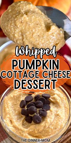 whipped pumpkin cottage cheese dessert in a glass bowl with chocolate chips on top and text overlay that reads whipped pumpkin cottage cheese dessert