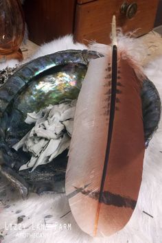 a feather is laying on top of a bowl