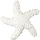 a white starfish on a white background