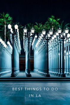 an advertisement for jazz and lacma featuring palm trees