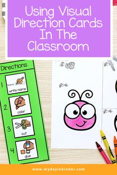 an insect themed classroom project with the words using visual direction cards in the classroom on it