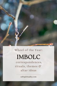 a tree branch with the words wheel of the year imbolc correspondences, rituals, themes and altar ideas