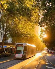 a public transit bus on a city street at sunset with the sun peeking through the trees