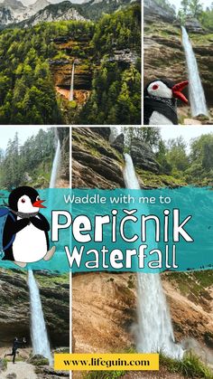 there is a penguin that is standing in front of a waterfall and the caption reads, waddle with me to peronik waterfall