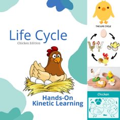 the book cover for life cycle hands - on kinetic learning with pictures of chickens and chicks