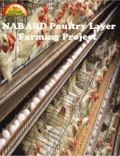 an image of a chicken farm with chickens in cages and the words nabard poultry layer farming project