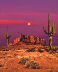 the desert is full of cactus and rocks at night with a full moon in the background