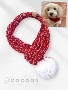 a dog wearing a red and white scarf with a pom - pom on it