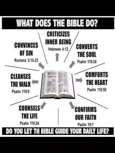 an open bible with the words, what does the bible do? and other things surrounding it