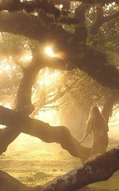 a woman standing under a tree with the sun shining through her hair and dress on