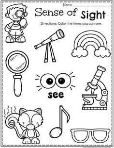 a coloring page with different items for sight