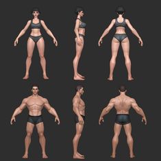 Zbrush Anatomy, Blender Character Modeling, Animated Anatomy, Human Anatomy For Artists, Character Reference Sheet, Character Turnaround, Human Anatomy Drawing, Character Model Sheet, Character Model