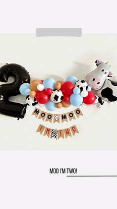 an image of balloons and animals on the table for a baby's first birthday