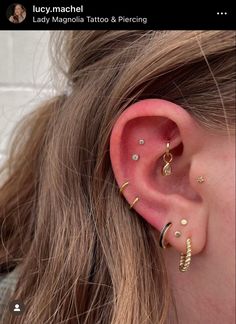 a close up of a person with ear piercings on their left and right sides