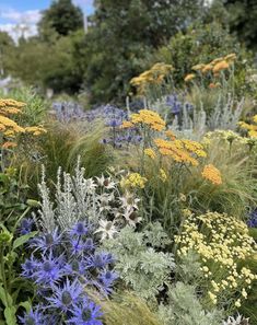 many different types of flowers in a garden