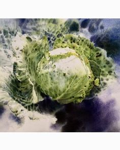 a painting of lettuce in watercolor on paper