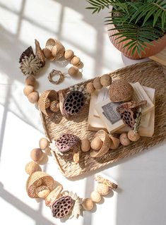 a table topped with lots of different types of jewelry next to a potted plant