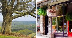 two different views of a tree in front of a store and the outside of a building