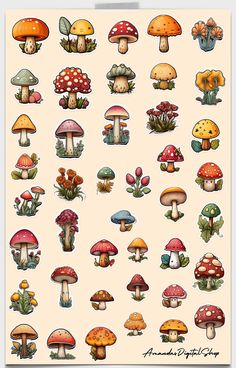 an assortment of colorful mushrooms on a white background with the words,'all about mushrooms '