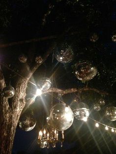 disco balls hanging from a tree at night