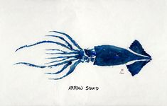 a drawing of a blue squid on white paper