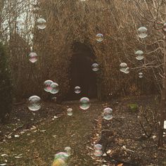 soap bubbles are floating in the air near trees