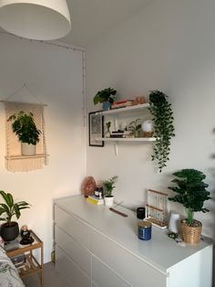 a bedroom with plants on the wall and shelves