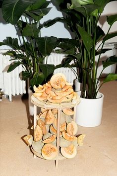 there are many pieces of fruit stacked on top of each other in front of some potted plants