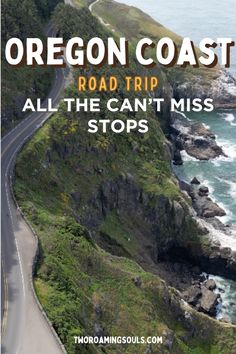 the oregon coast road trip all the can't miss stops